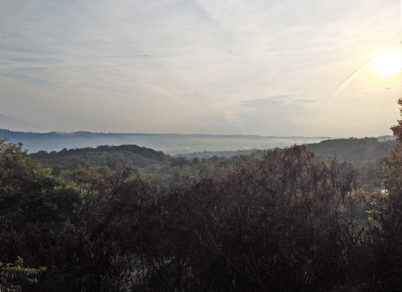 Sunday Morning Run for web