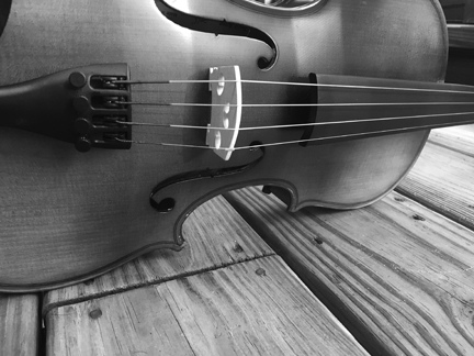 Violin BW 2 for web