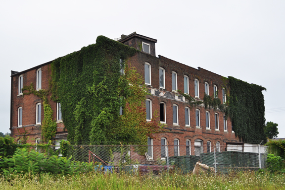 Lantz LUmber 1 for web