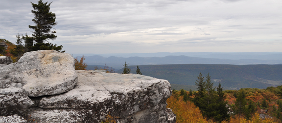 Dolly Sods 1 (small)